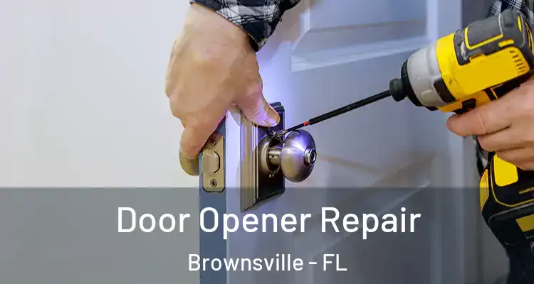 Door Opener Repair Brownsville - FL