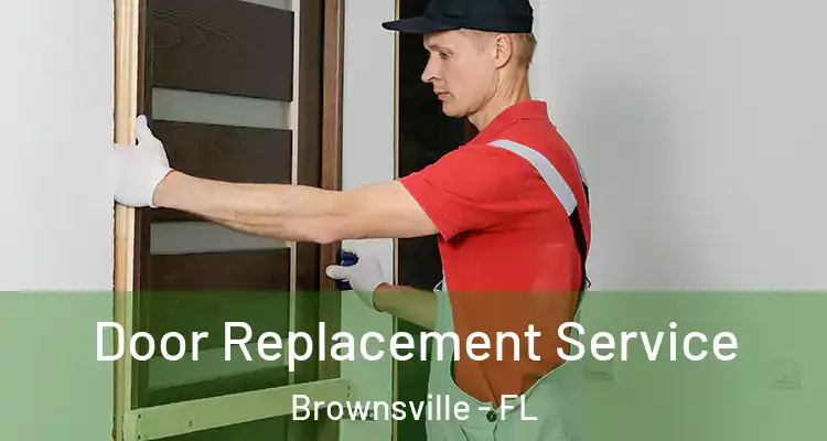  Door Replacement Service Brownsville - FL