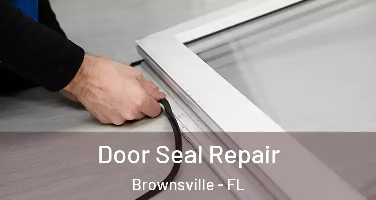  Door Seal Repair Brownsville - FL