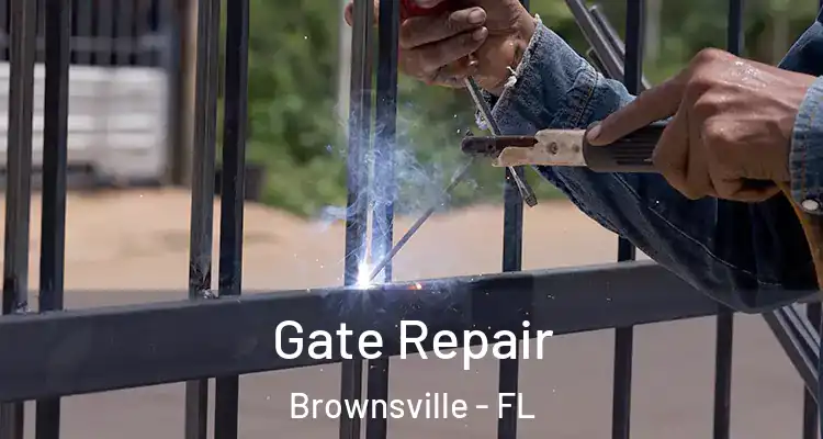  Gate Repair Brownsville - FL