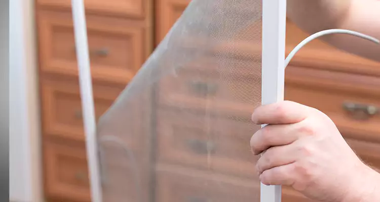 Privacy Mesh Screen Door Installation in Brownsville, FL