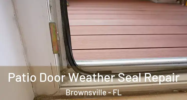  Patio Door Weather Seal Repair Brownsville - FL