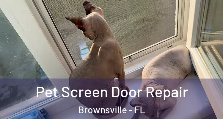  Pet Screen Door Repair Brownsville - FL