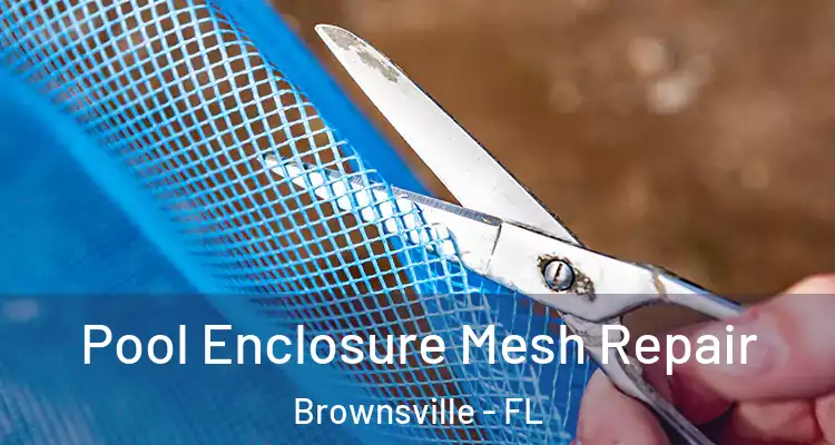  Pool Enclosure Mesh Repair Brownsville - FL