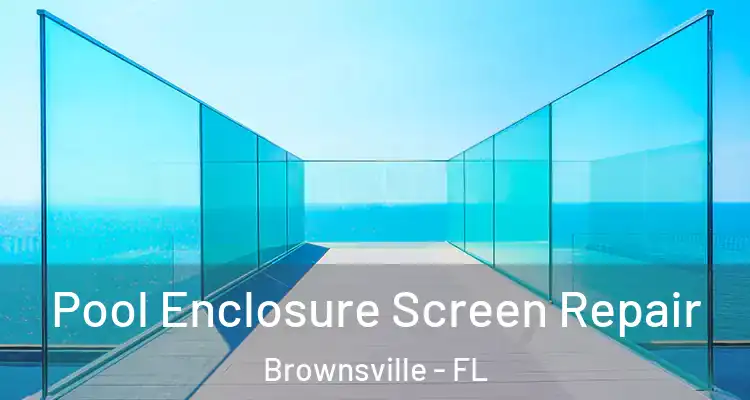  Pool Enclosure Screen Repair Brownsville - FL
