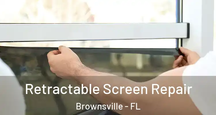  Retractable Screen Repair Brownsville - FL