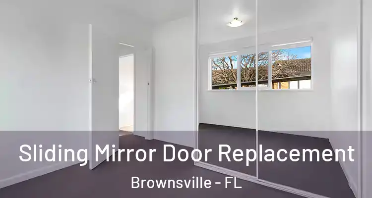  Sliding Mirror Door Replacement Brownsville - FL