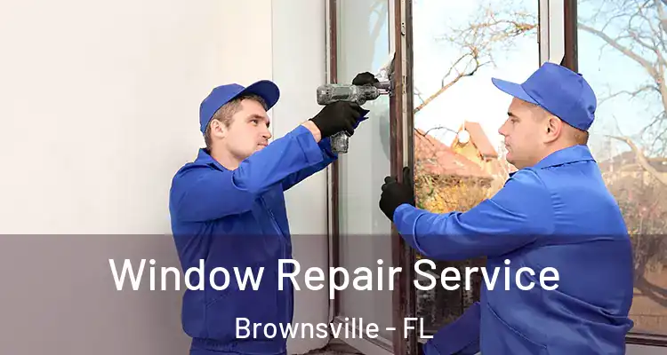  Window Repair Service Brownsville - FL