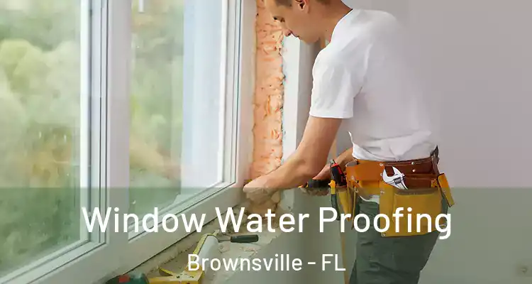  Window Water Proofing Brownsville - FL